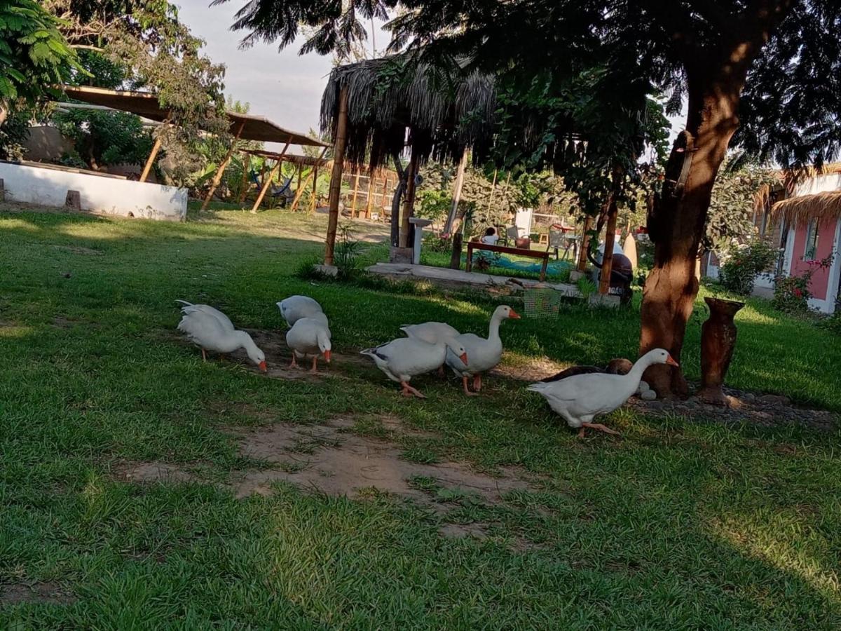 La Vina De Oscar Guest House Nuevo Imperial Екстериор снимка